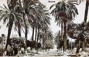 ARZEW 639